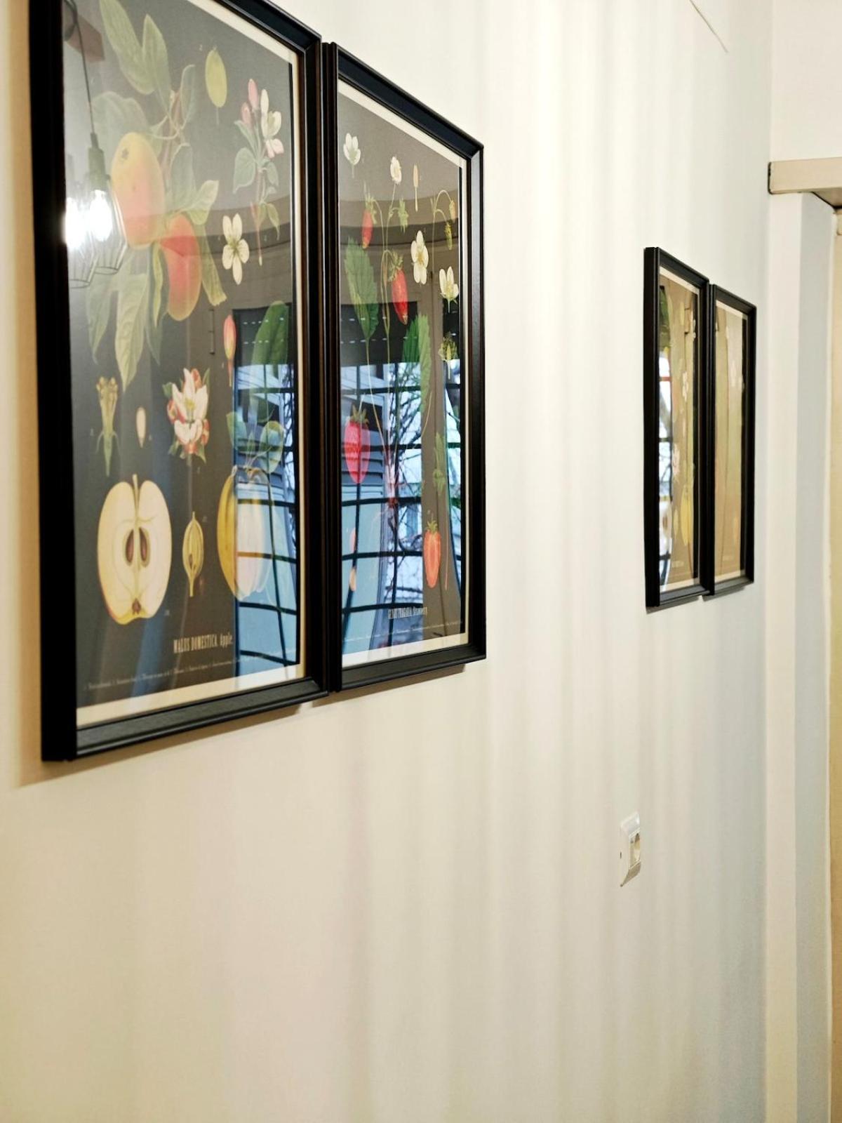 Domus Chigi Apartment *